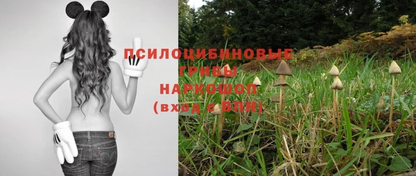 марки nbome Алзамай
