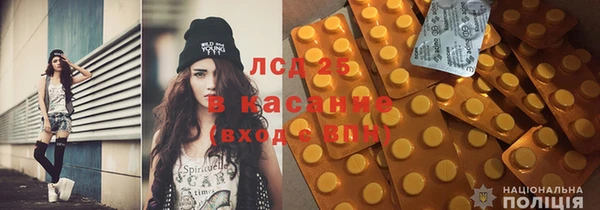 ПСИЛОЦИБИНОВЫЕ ГРИБЫ Алексин