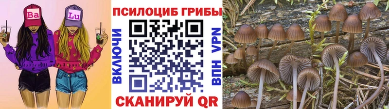 Псилоцибиновые грибы прущие грибы  MEGA зеркало  Лихославль 